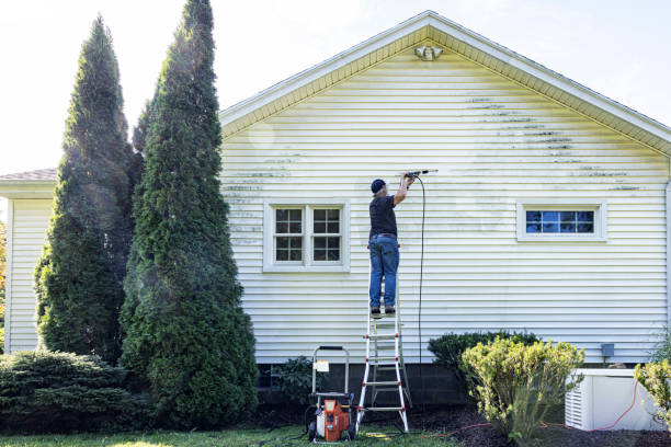 Best Sidewalk and Walkway Pressure Cleaning in Redwood Falls, MN